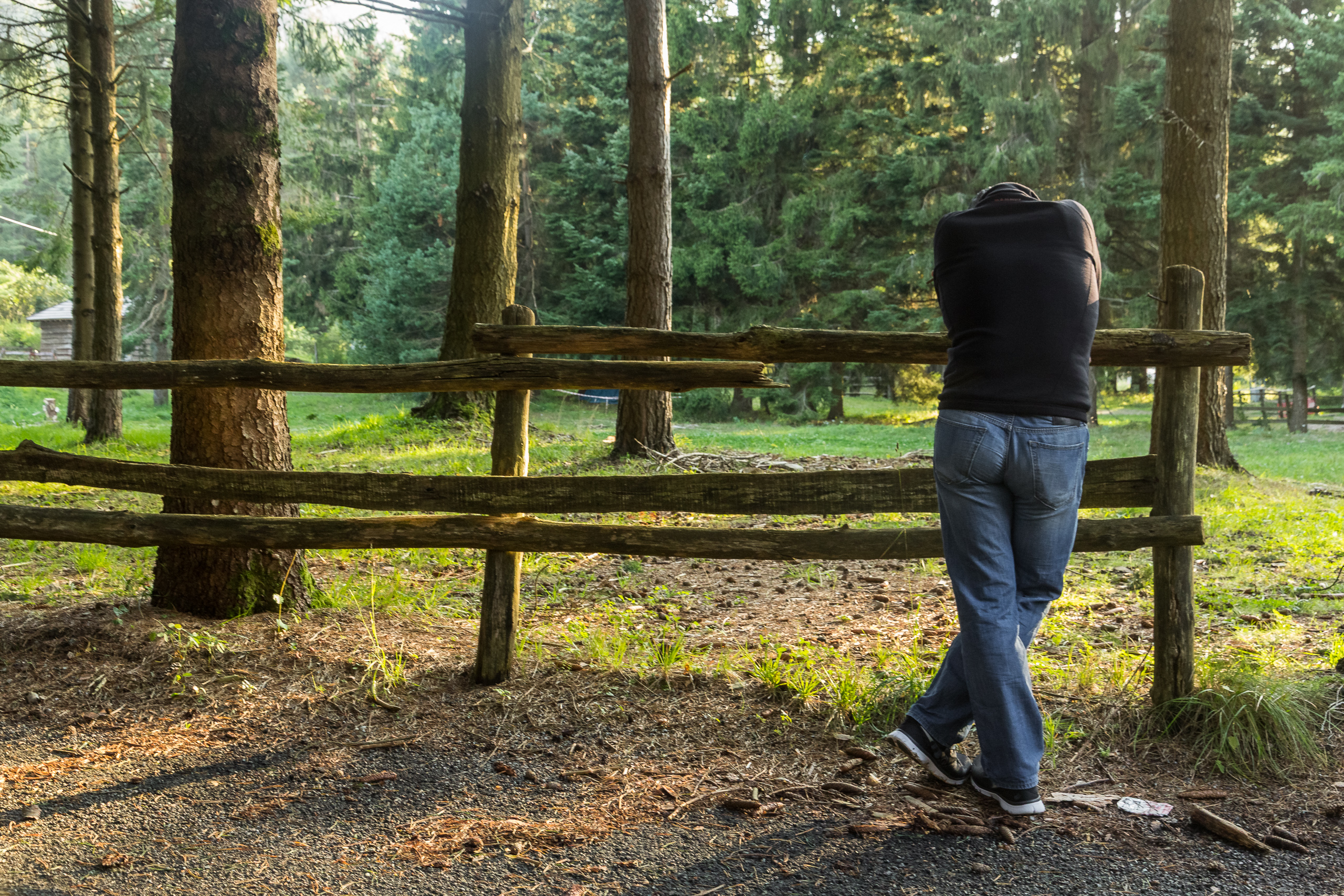 Abends am Lago delle Lame – Rast im Kieferwald